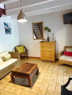 Joli appartement climatisé avec cuisine, salle d'eau, chambre et terrasse - 1