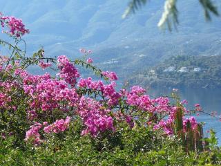 Poros Thea Villa - 4