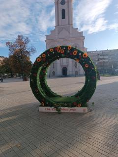 Apartman KEJ Smederevo - 7