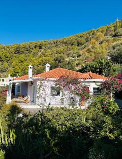 Poros Thea Villa - 9