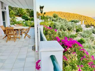 Poros Thea Villa - 7