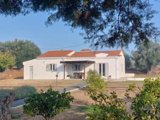 Horta da Rosa - Adults Only - 0