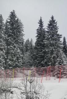 Весела Ваканция, Гранд Манастира Пампорово - 2