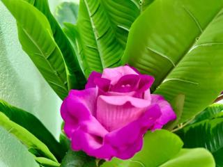 Apartement Cosy et Securisé 2CH 1 SDB, Nkolmesseng Yaounde - 4