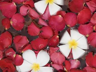 Novotel Bali Nusa Dua - 6