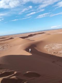 Bivouac beauté du désert - 4
