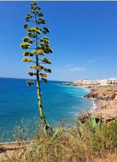 Vue mer exceptionnelle sur la corniche - 0