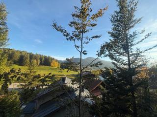 Villa Helga Am Steinernem Meer - 7