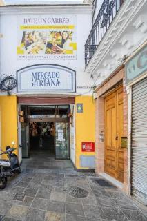 Alzhara Suites Triana - 4