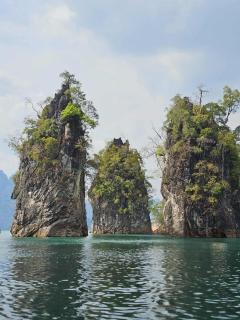 Camping phutajoy Khaosok แคมป์ปิ้งภูตาจ้อยเขาศก - 7