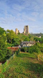maison hérisson - 0