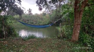 Diamond Villas Wayanad Entire Villa booking - 8