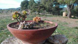 Masía con capilla en parque natural - 3