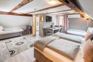 Hotel Nürnberger Hof in Altdorf - 7