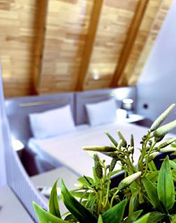 солнечный - 2