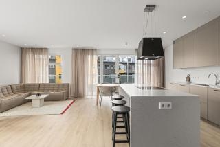 Northen Light Lux 3BR 2BH Free parking - 0