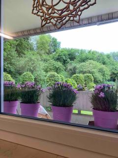 Beautiful apartment in Dornach - 5