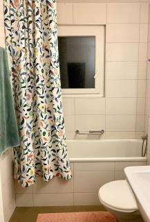 Beautiful apartment in Dornach - 4