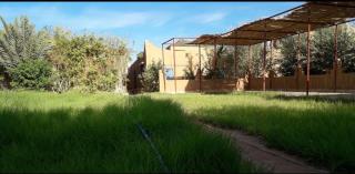 Auberge chez hammadi - 9