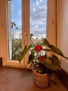 La Maisonnette de Chevannes - 7