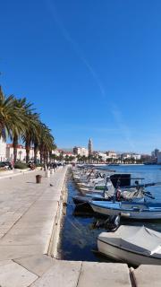 Center Perfect Spot - 1