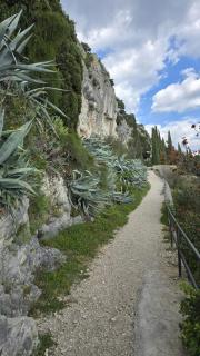 Center Perfect Spot - 2