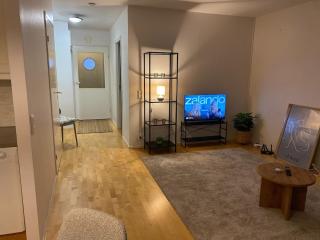 Valoisa saunallinen luhtitalokaksio Joupista - 9