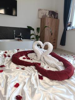 Roztoczańskie Apartamenty - 0