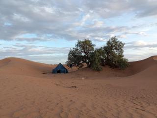 Bivouac beauté du désert - 2