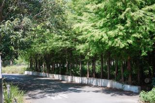 在夢里 In Dream l 依人數開房 - 9