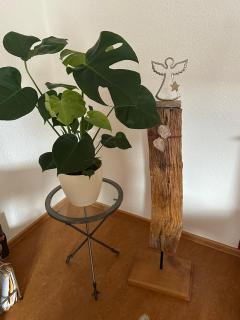 Ferienwohnung Riva - Kronau - 6