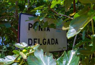 Casa da Vista Infinita - 4