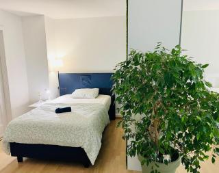 Vantage Point 101 - 6