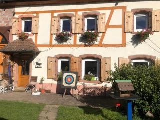 Maison pittoresque à Sainte-Croix-aux-Mines, vue sur la montagne - 9