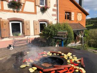Maison pittoresque à Sainte-Croix-aux-Mines, vue sur la montagne - 8