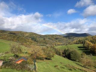 Maison pittoresque à Sainte-Croix-aux-Mines, vue sur la montagne - 7