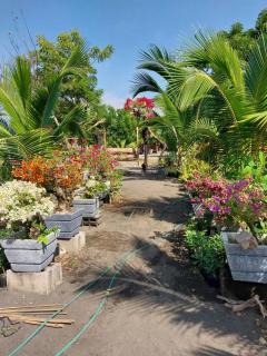 Beachfront Aircon Modern Bahay Kubo for 10 pax - 3