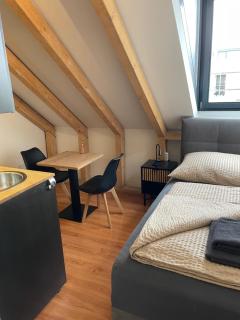 Modernes und helles Apartment VS - Villingen-Schwenningen - 8