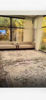 Bidyh Palm Oasis - 5