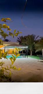 Bidyh Palm Oasis - 4