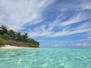 Thoddoo 7StarTropics - 7