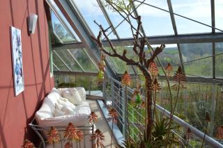 Glashaus Andres Fünf-Sterne-Ferienhaus - 5