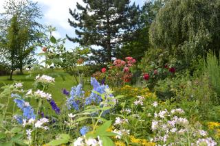 Glashaus Andres Fünf-Sterne-Ferienhaus - 4