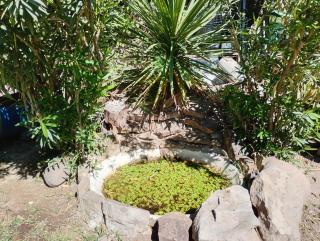 Rincón Spa Seule - 1