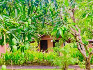 suncity privacy cottages - 1