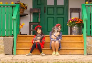 Casa din Gradina Sabangia - 9