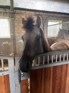 Relax und Wellness Landhaus - 3