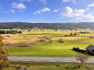 Séjour paisible à Gellin - 8