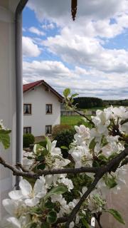 Ferienwohnung Schmied - 1