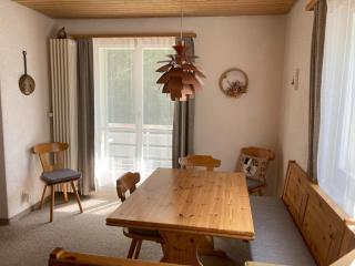 Cozy flat in walking distance to congress centre Davos - 7